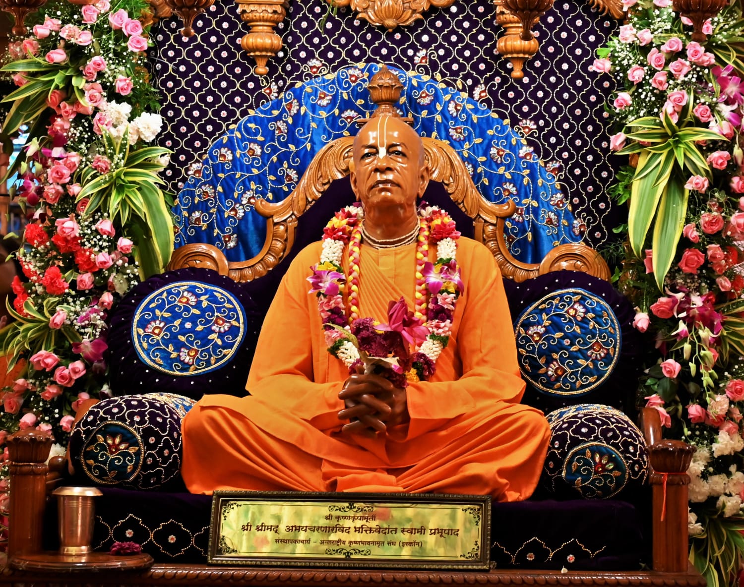 Donate for Anna Daan